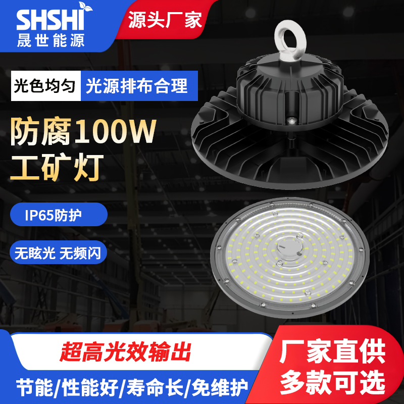 防腐100W工矿灯
